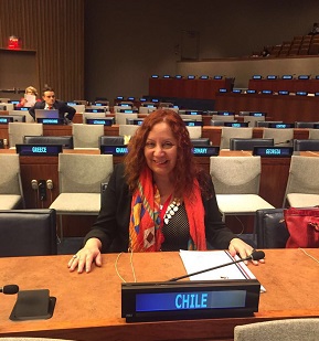 Directora de Planeamiento expone ante Naciones Unidas sobre el Plan Chile 30/30