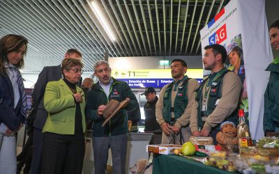 MOP y Aeropuerto de Santiago lanzan plan de contingencia ante 380 mil personas que viajarán durante estas Fiestas Patrias.